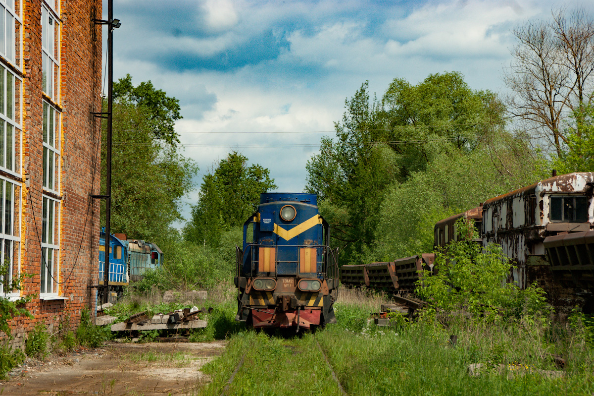 Московская железная дорога, № ТЭМ2-6193 — 