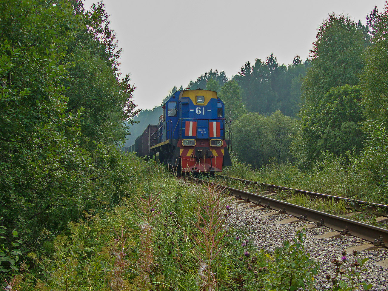 Свердловская железная дорога, № ТЭМ2У-9061 — 