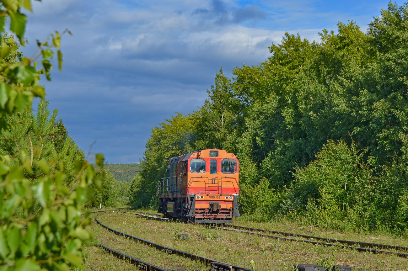 Свердловская железная дорога, № ТГМ6А-1317 — 