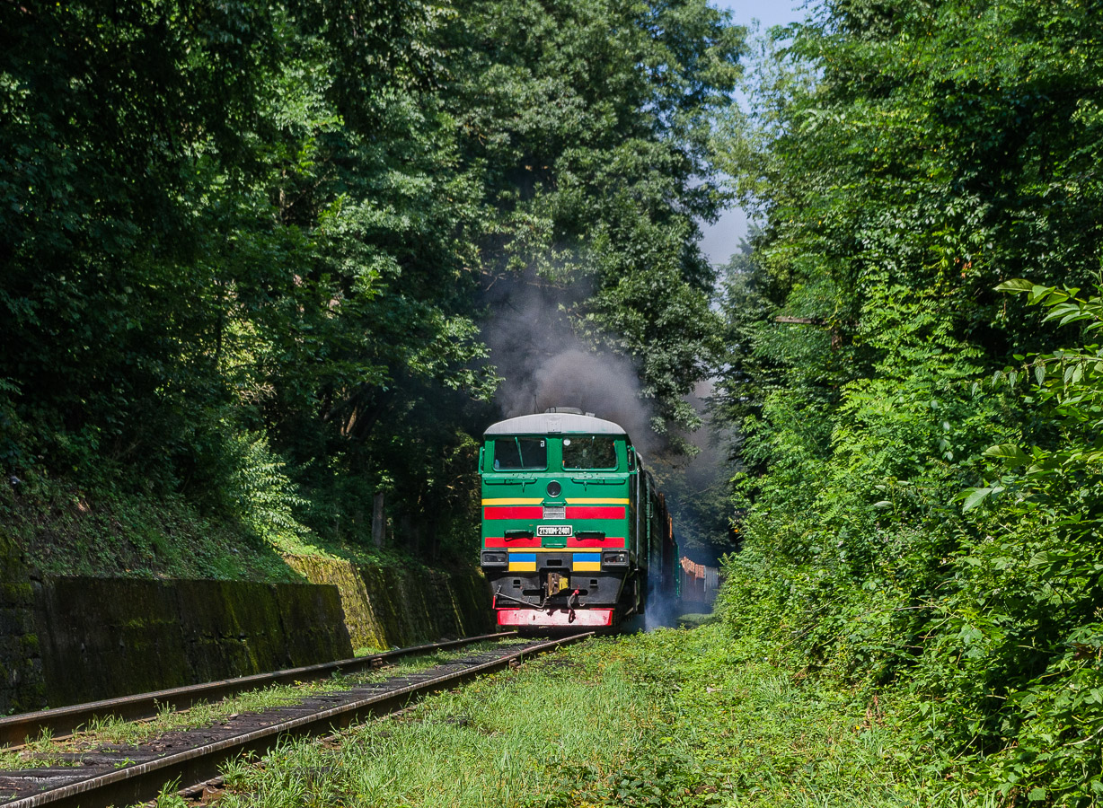 Одесская железная дорога, № 2ТЭ10М-2401 — 