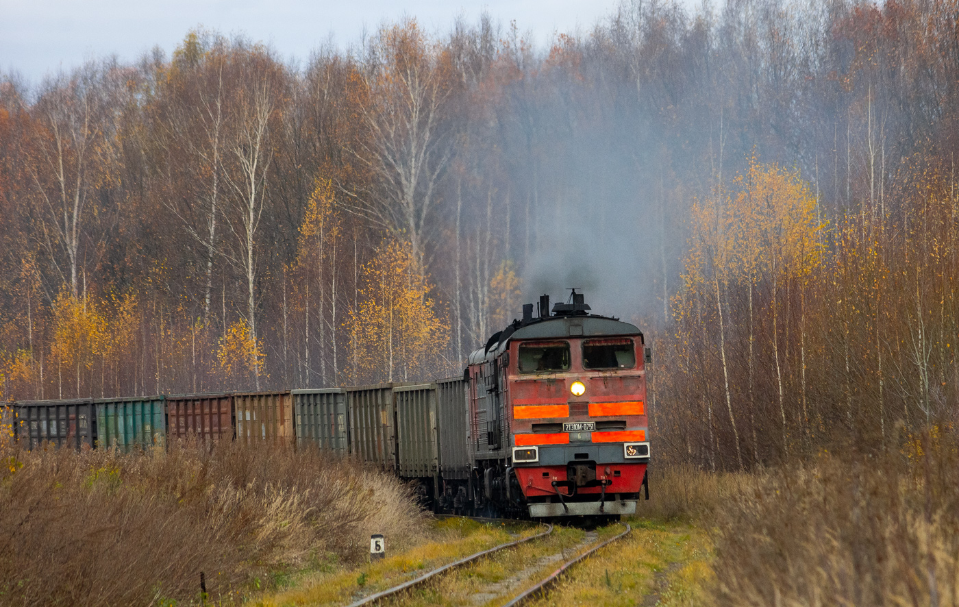 Горьковская железная дорога, № 2ТЭ10М-0751 — 