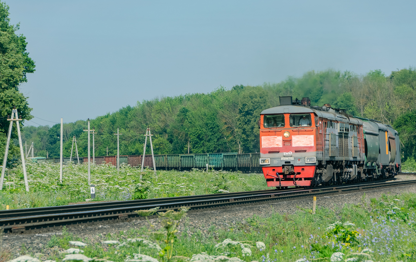 Московская железная дорога, № 2ТЭ10М-2161 — 