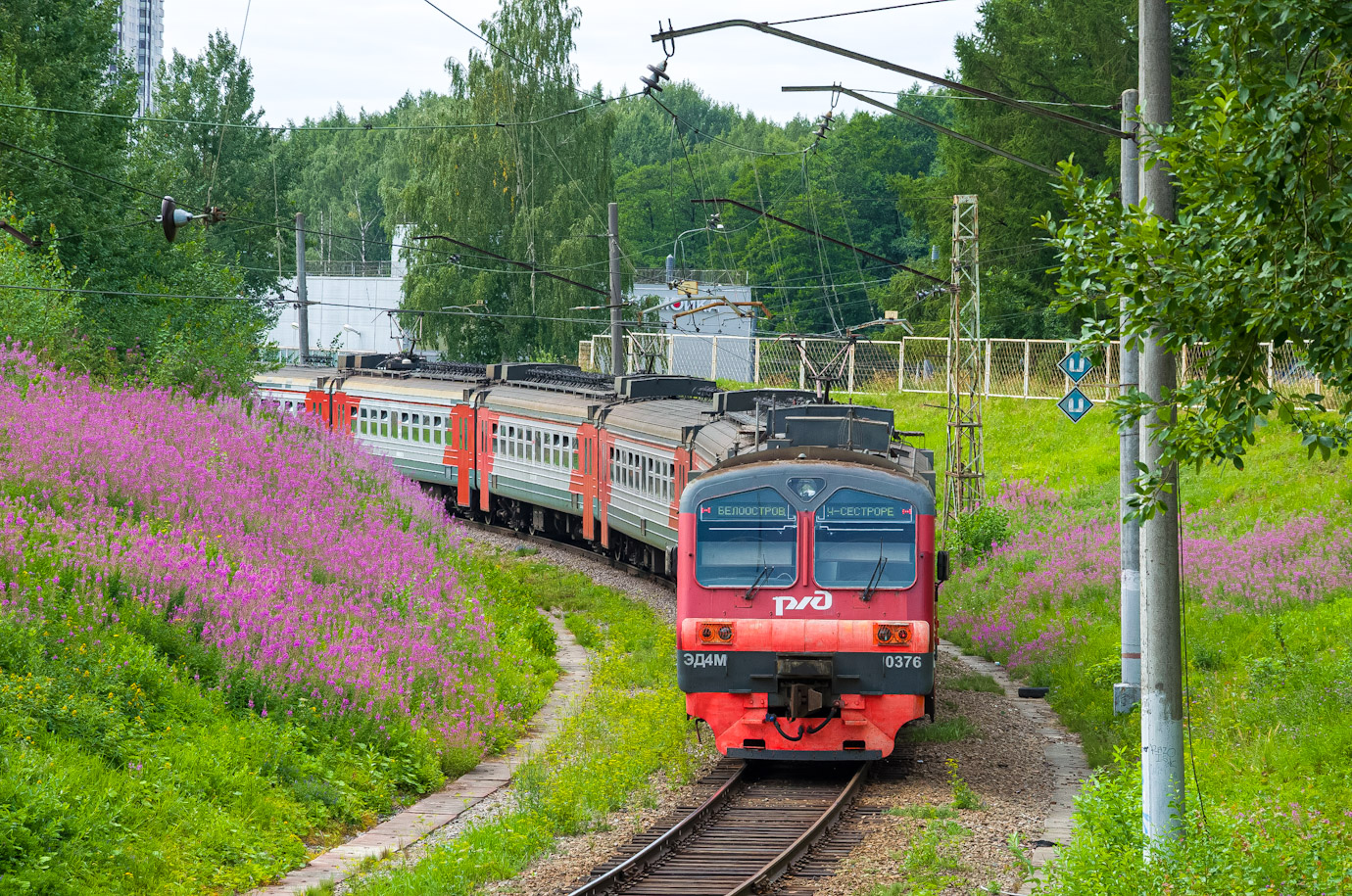 Октябрьская железная дорога, № ЭД4М-0376 — 