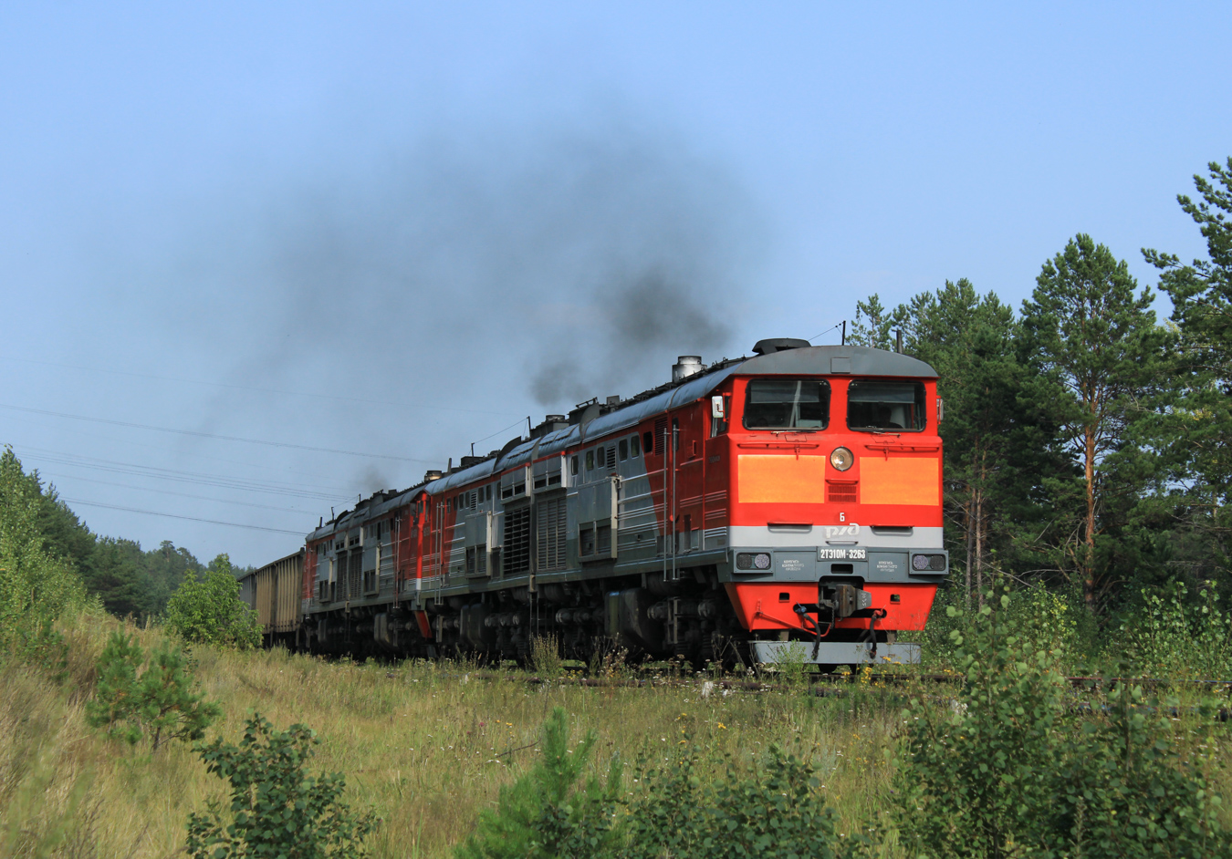 Западно-Сибирская железная дорога, № 2ТЭ10М-3263 — 