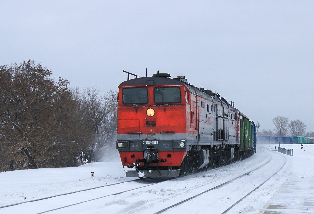 Западно-Сибирская железная дорога, № 2ТЭ10М-3393 — 